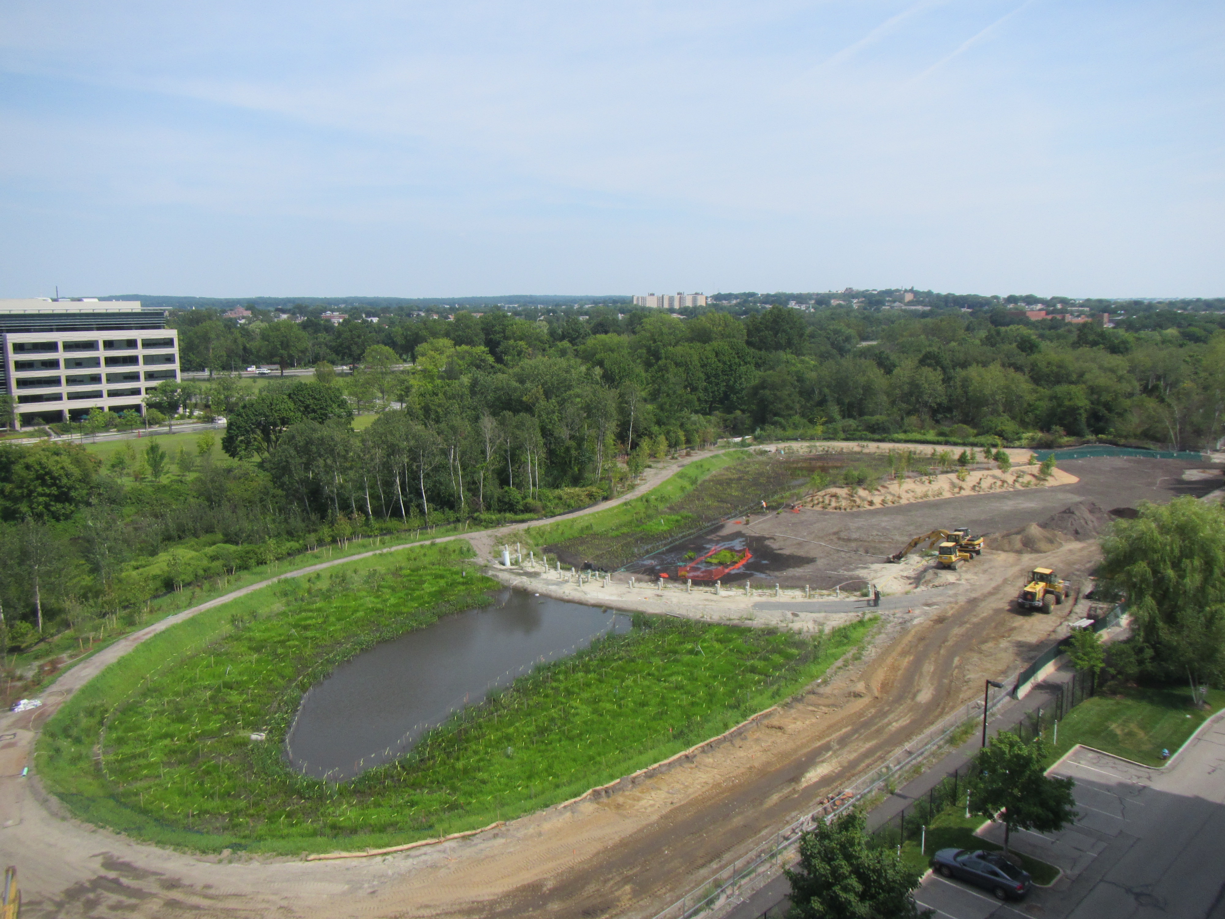 Wetland basin_looking east_August 24 2012